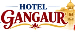 default-logo